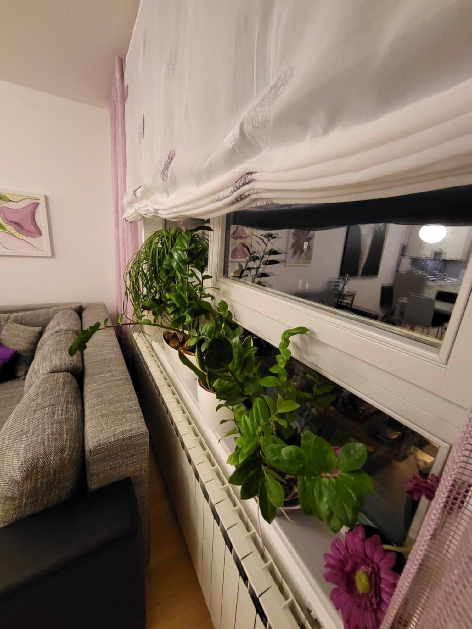 Jarun Lux Apartament